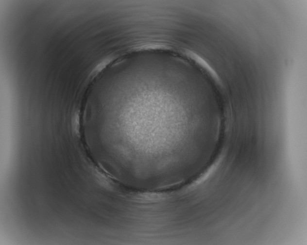 X0000113180777200909111054