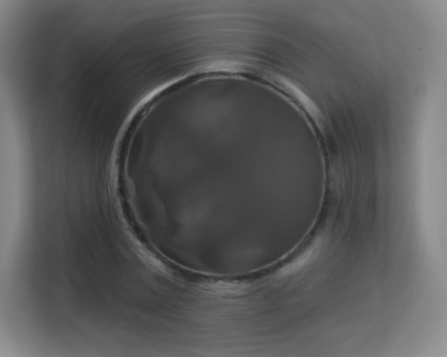 X0000113180779200909111053