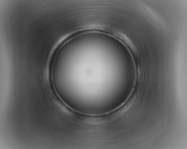 X0000113180780200909111053