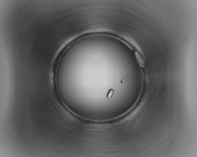 X0000113180781200909111053