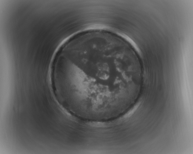 X0000113180783200909111053