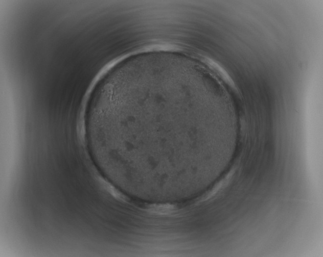 X0000113180784200909111053