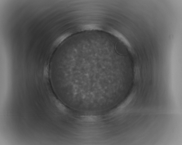 X0000113180785200909111053