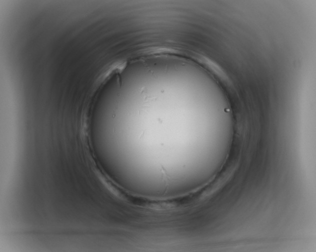 X0000113180793200909111053