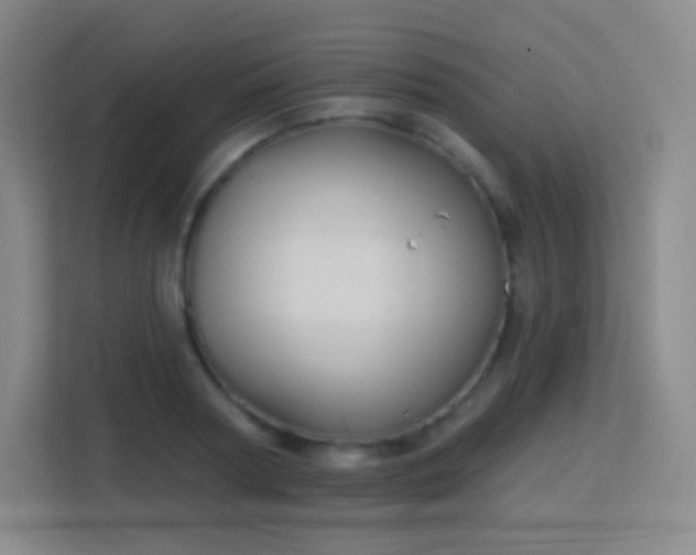 X0000113180794200909111053