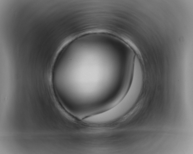 X0000113180797200909111053