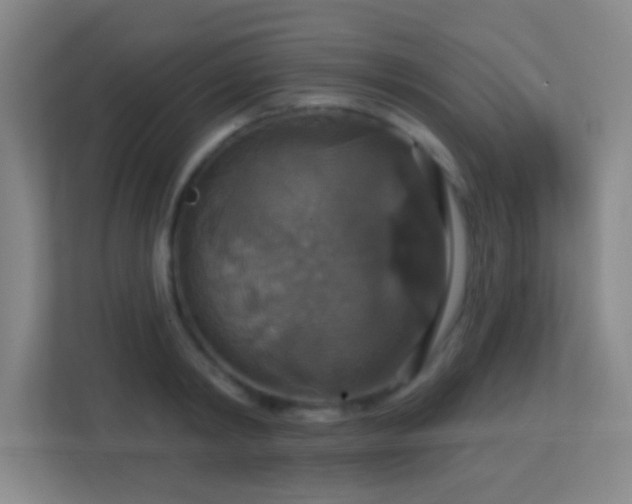 X0000113180798200909111053