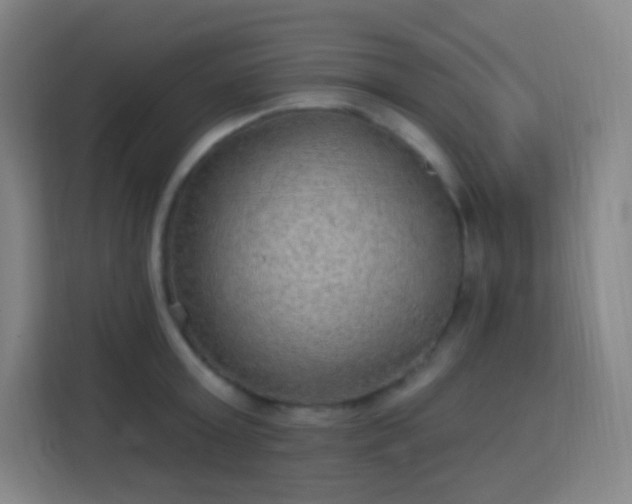 X0000113180803200909111053