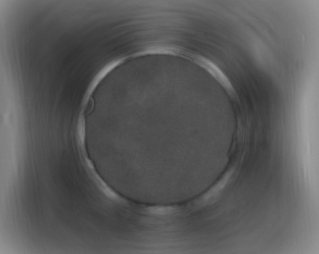 X0000113180804200909111053