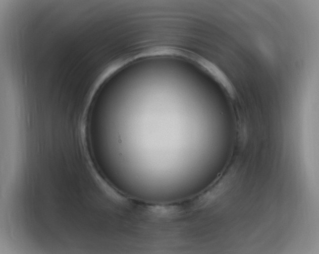 X0000113180805200909111053