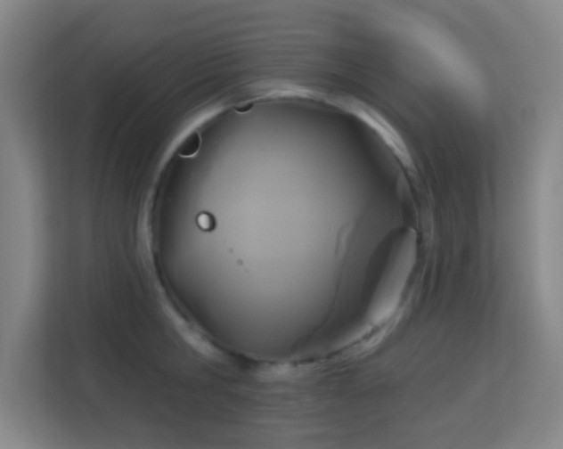 X0000113180806200909111053