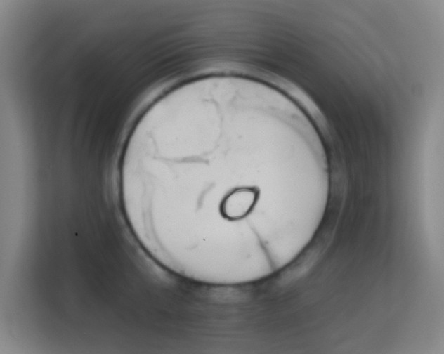 X0000113180807200909111053