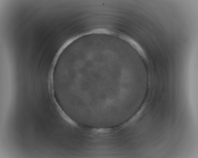 X0000113180808200909111053