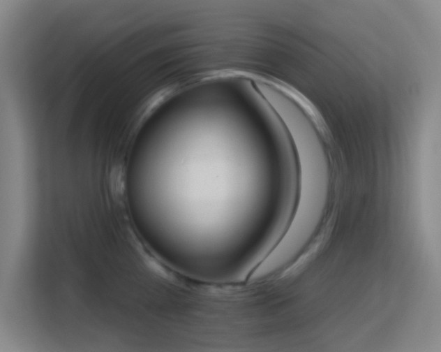 X0000113180809200909111053