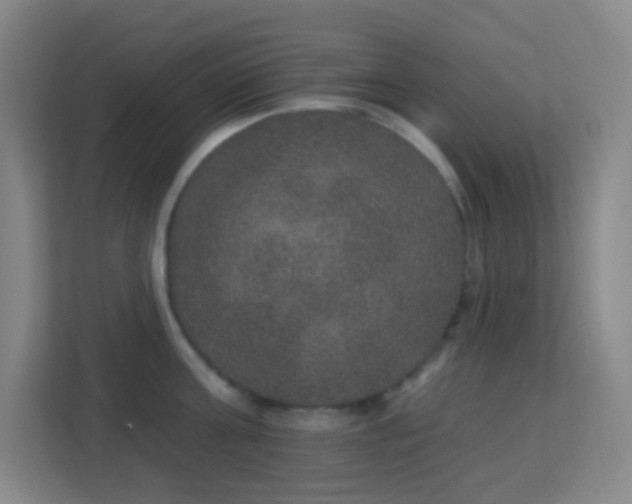 X0000113180811200909111053
