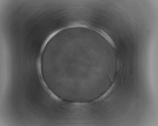 X0000113180812200909111053