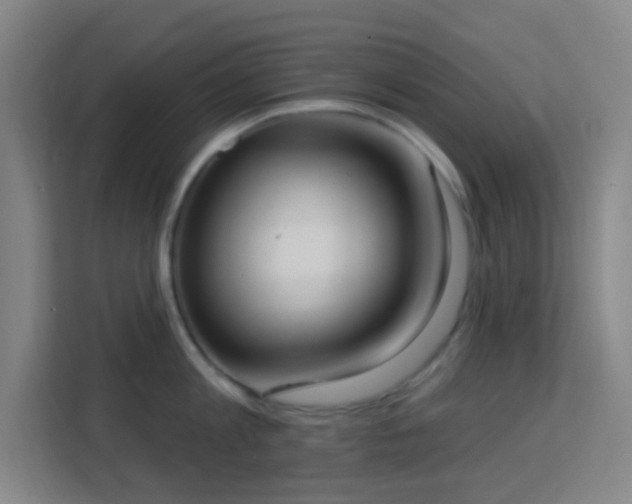 X0000113180813200909111053