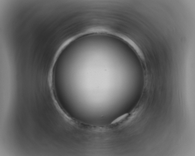 X0000113180815200909111053