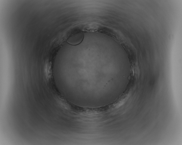 X0000113180818200909111052