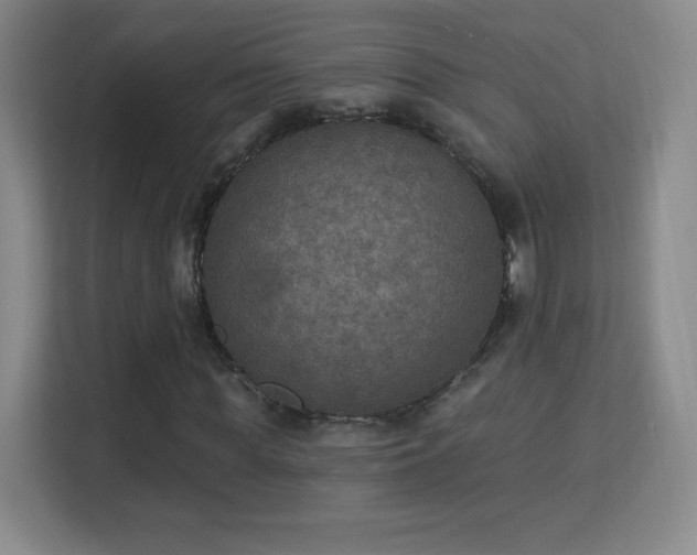 X0000113180819200909111052