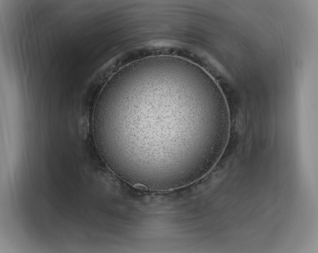 X0000113180821200909111052