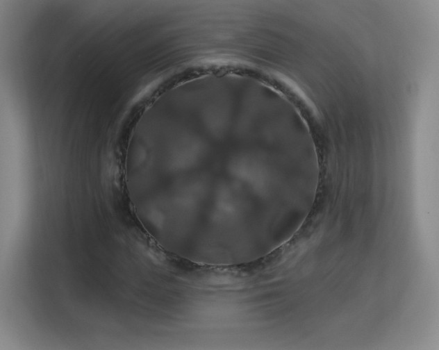 X0000113180823200909111052