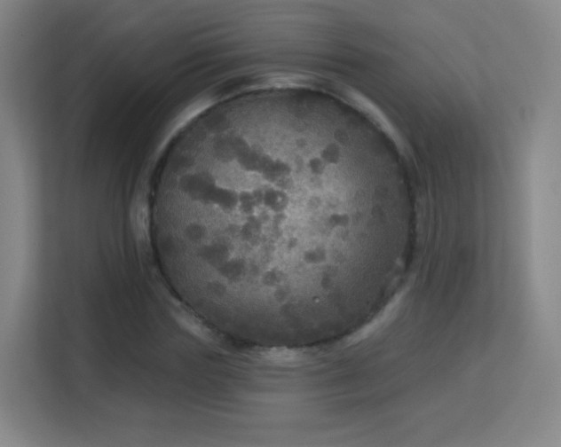 X0000113180827200909111053
