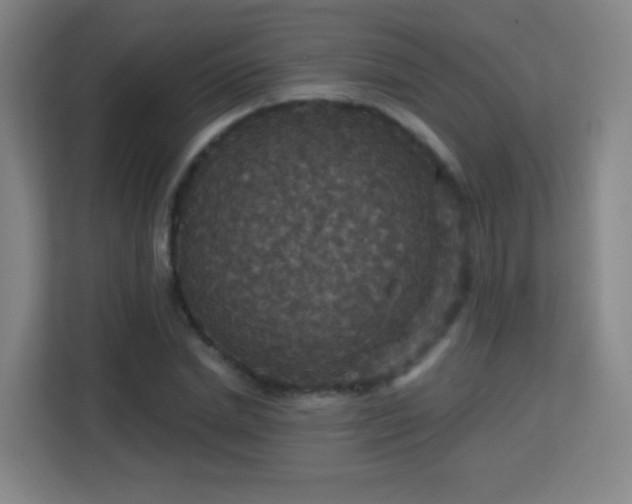 X0000113180830200909111053