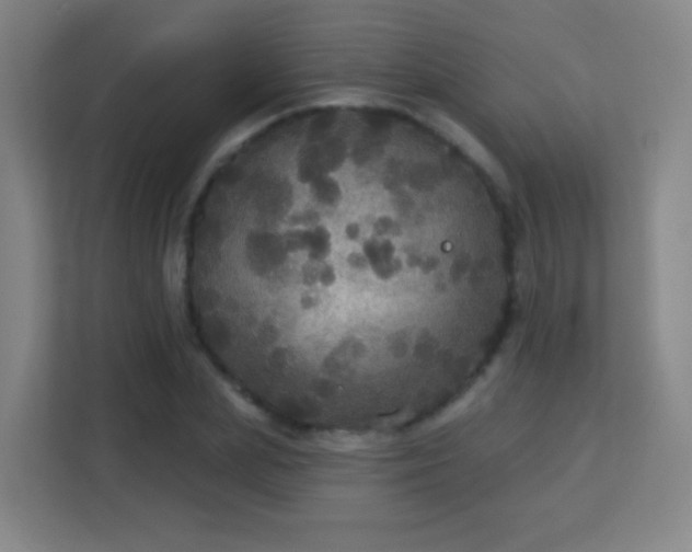 X0000113180831200909111053