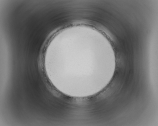X0000113180832200909111053