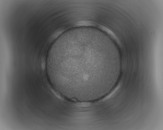 X0000113180833200909111053