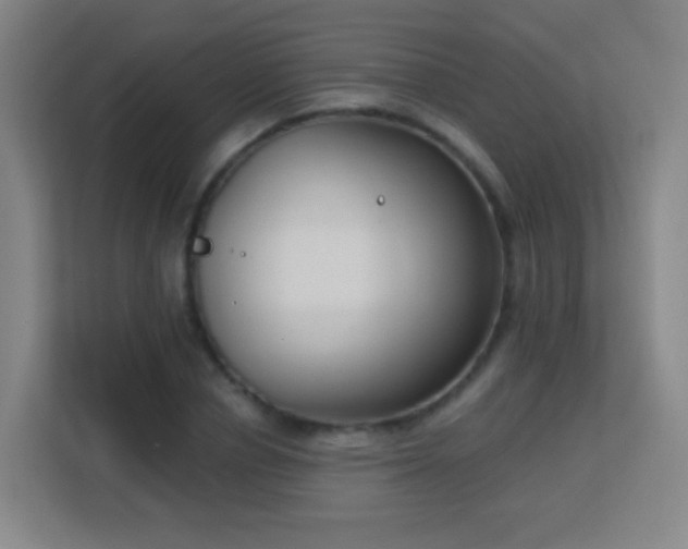 X0000113180834200909111053