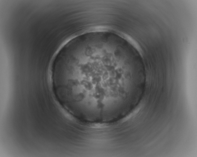 X0000113180835200909111053