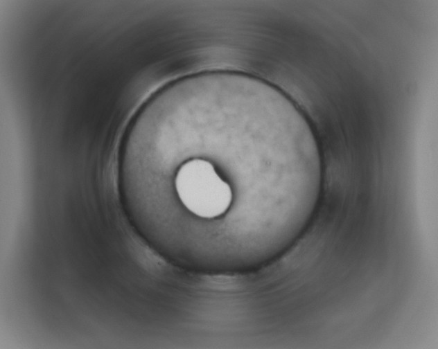X0000113180836200909111053