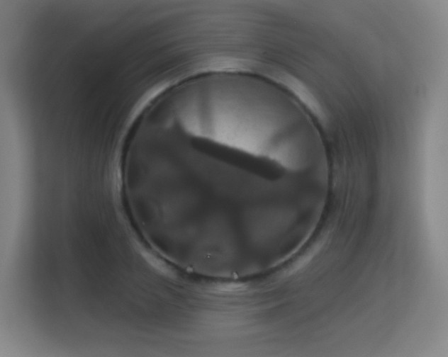 X0000113180837200909111053