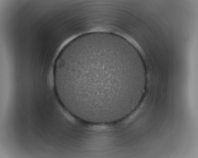 X0000113180838200909111053
