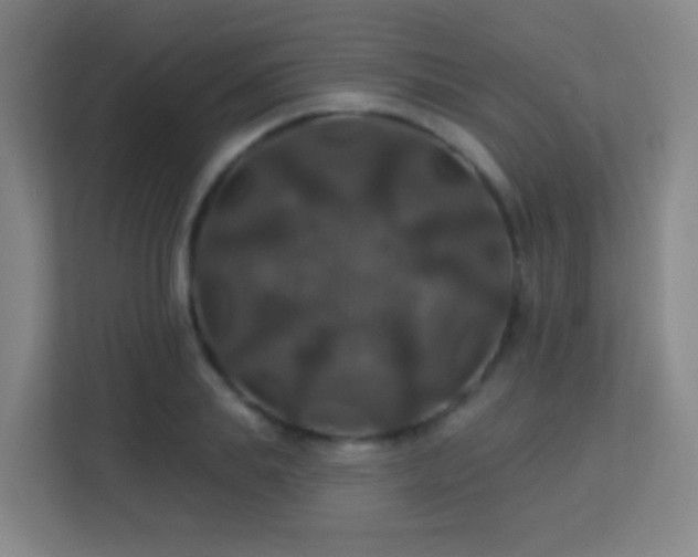 X0000113180839200909111053