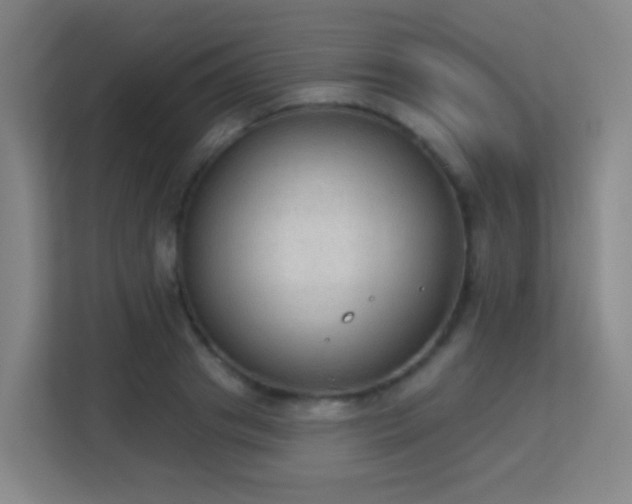 X0000113180841200909111053