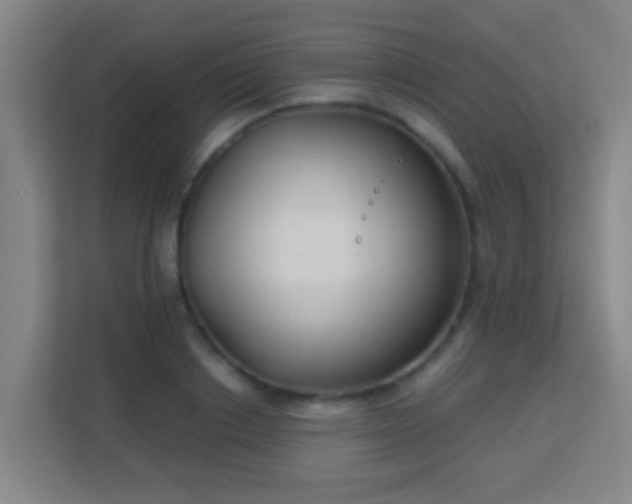 X0000113180842200909111053