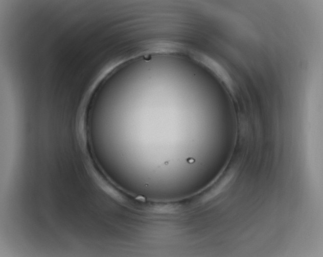 X0000113180843200909111053
