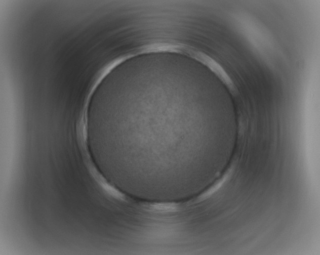 X0000113180844200909111053