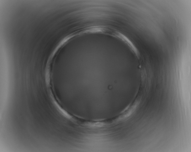 X0000113180851200909111053