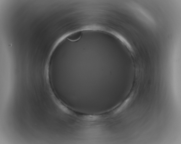 X0000113180854200909111053
