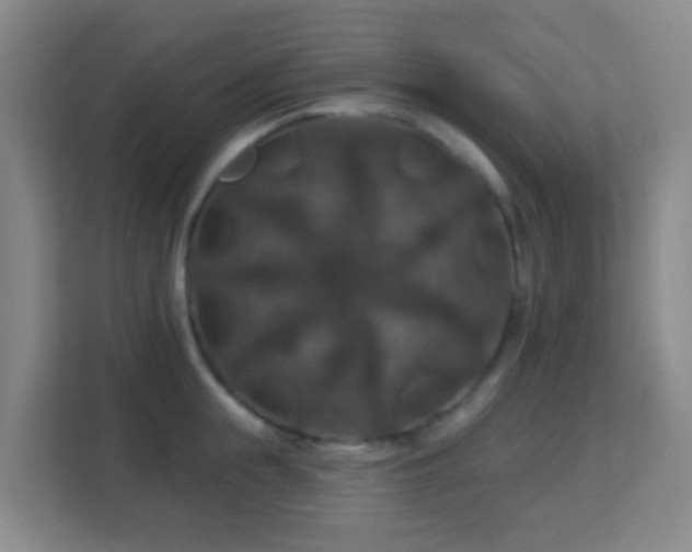 X0000113180855200909111053