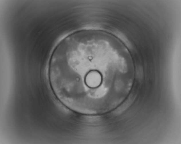 X0000113180856200909111053