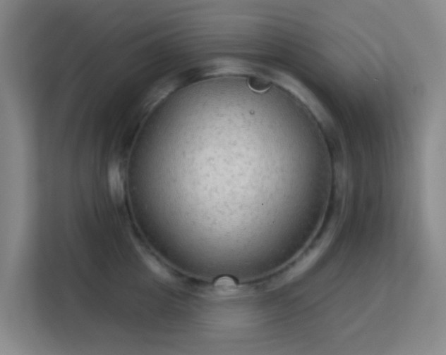 X0000113180857200909111053