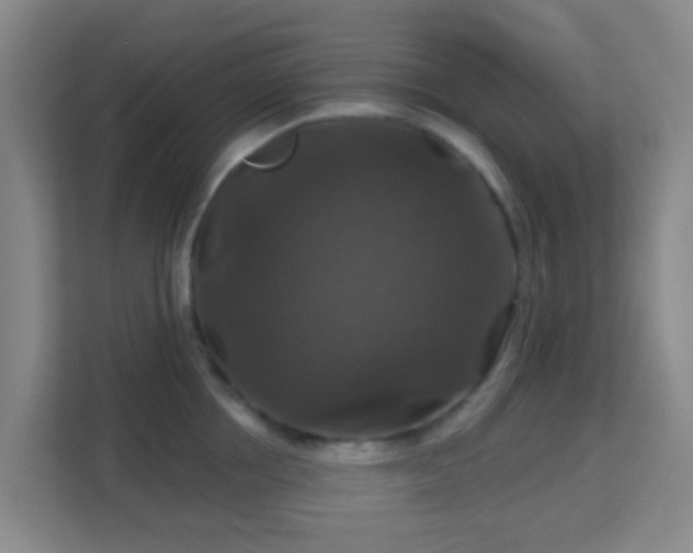 X0000113180858200909111053