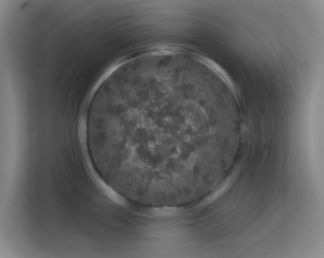 X0000113180859200909111053