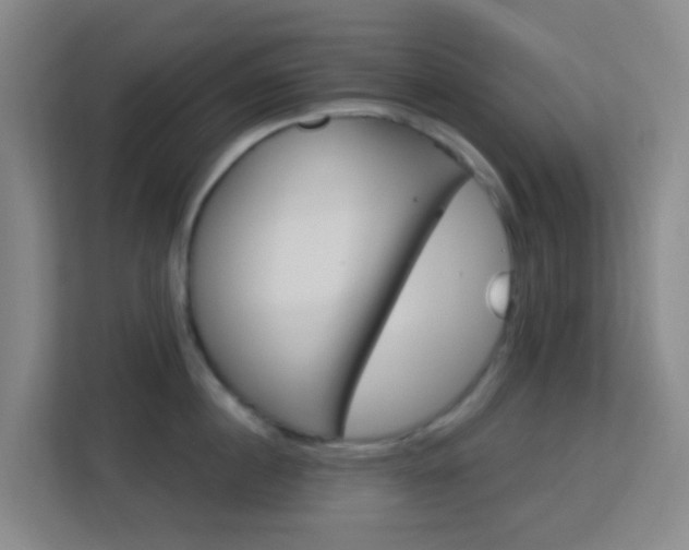 X0000113180860200909111053