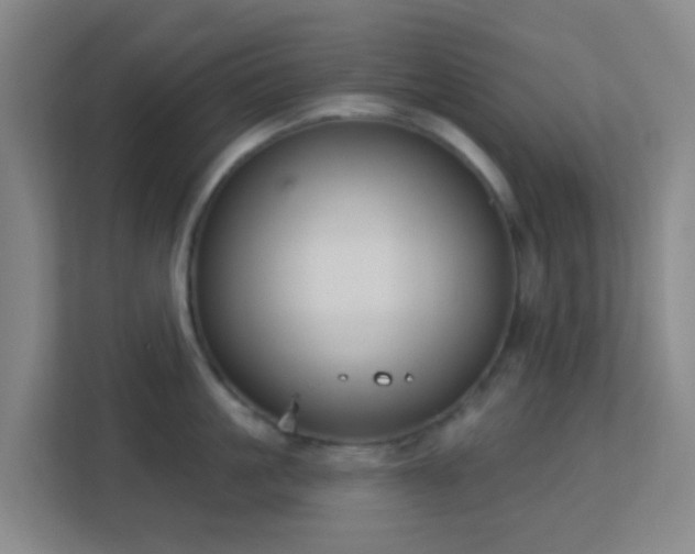 X0000113180861200909111053